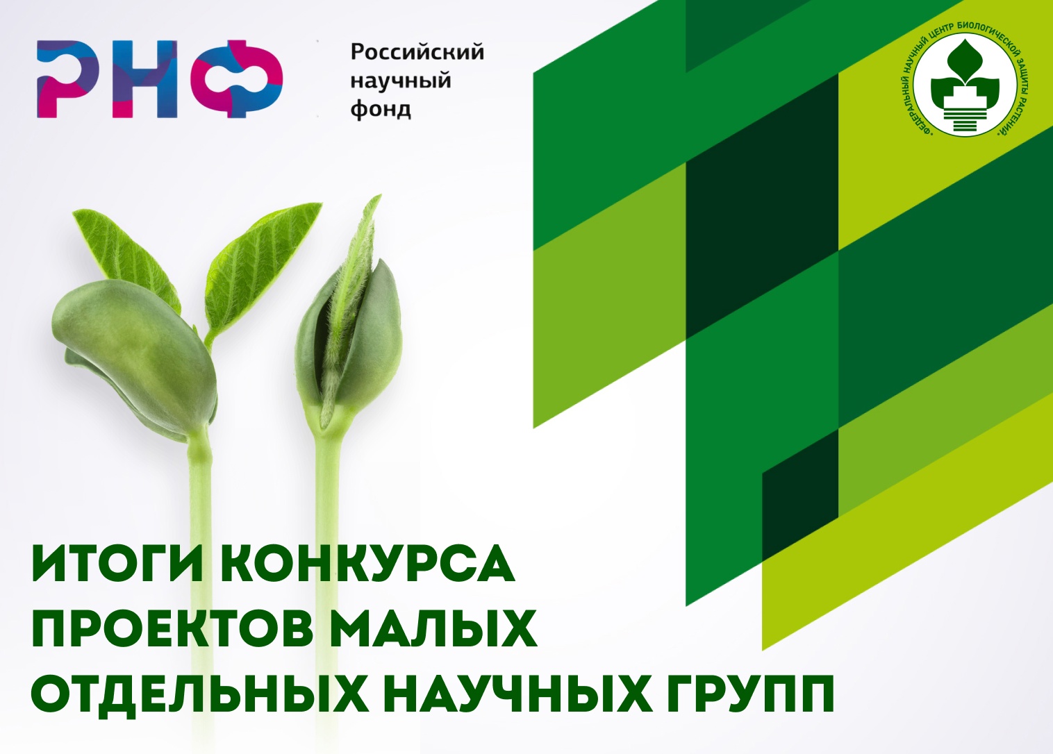 Сотрудники ФНЦБЗР стали грантодержателями конкурса РНФ 2023 года 