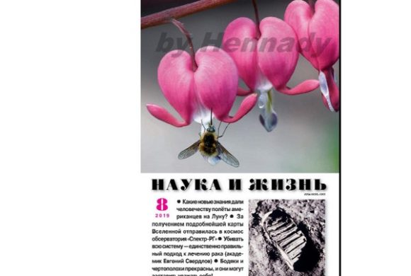 Статья молодого ученого ВНИИБЗР в научно-популярном журнале «Наука и Жизнь»