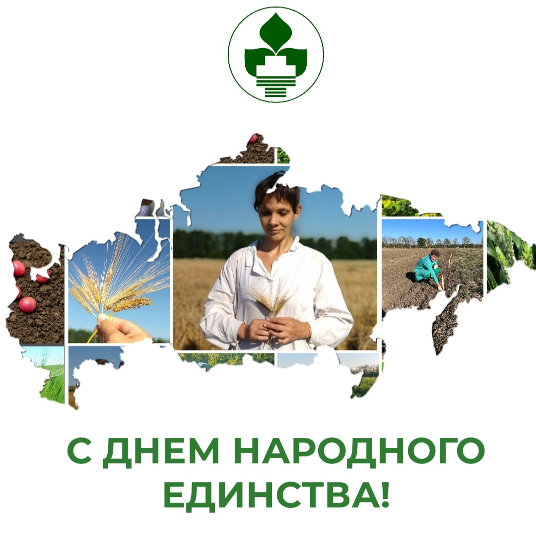 С Днём народного единства!
