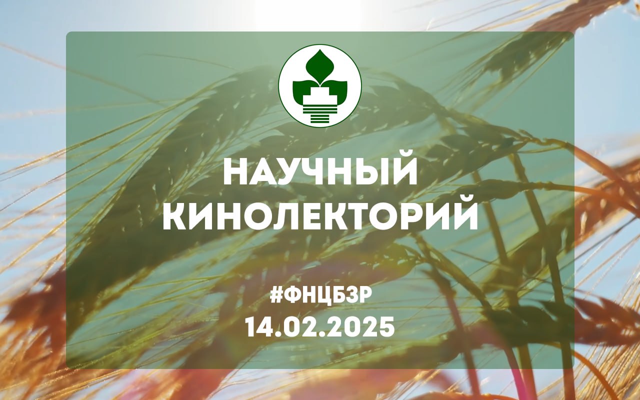 НАУКА В КИНО