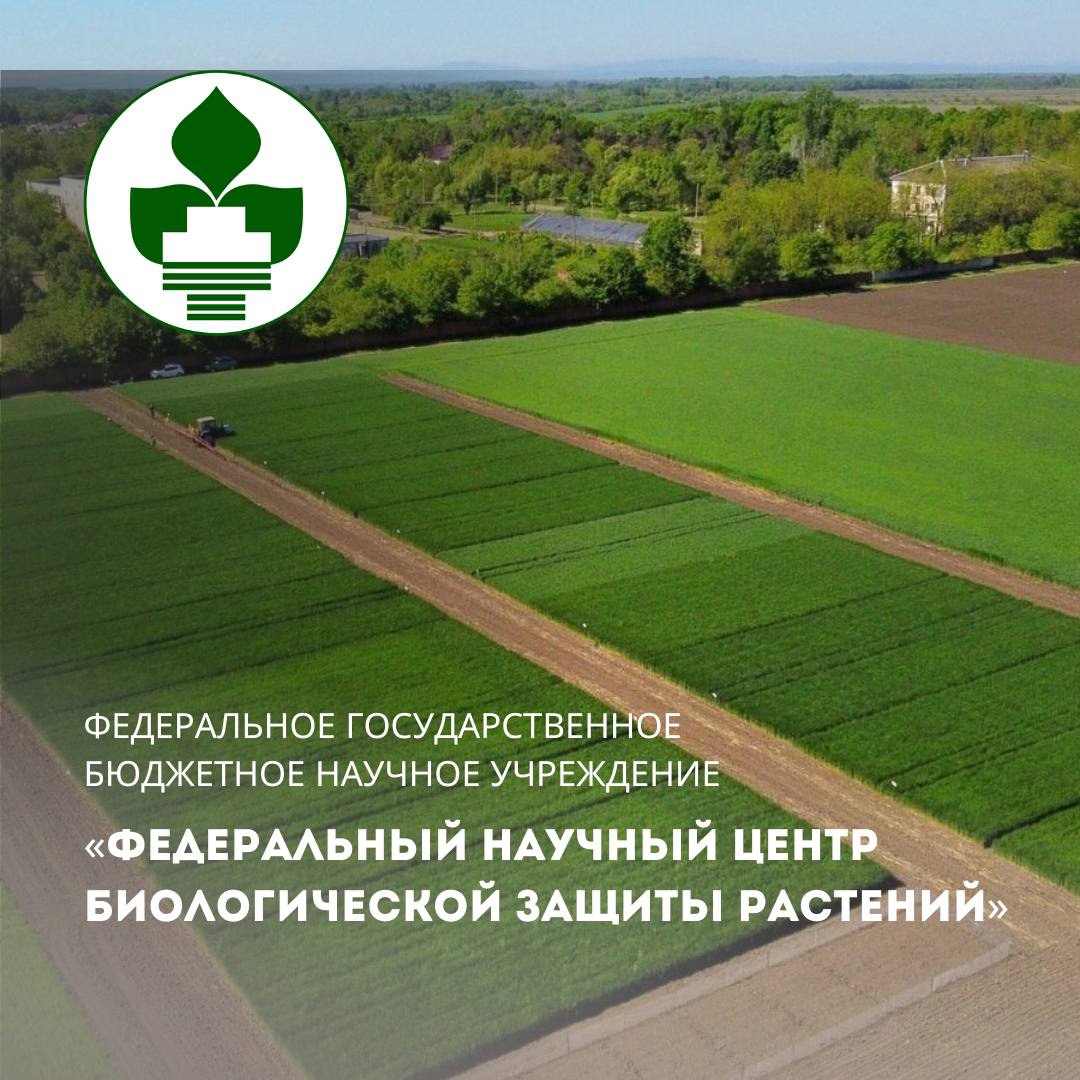 Дополнительное профессиональное образование в ФНЦБЗР