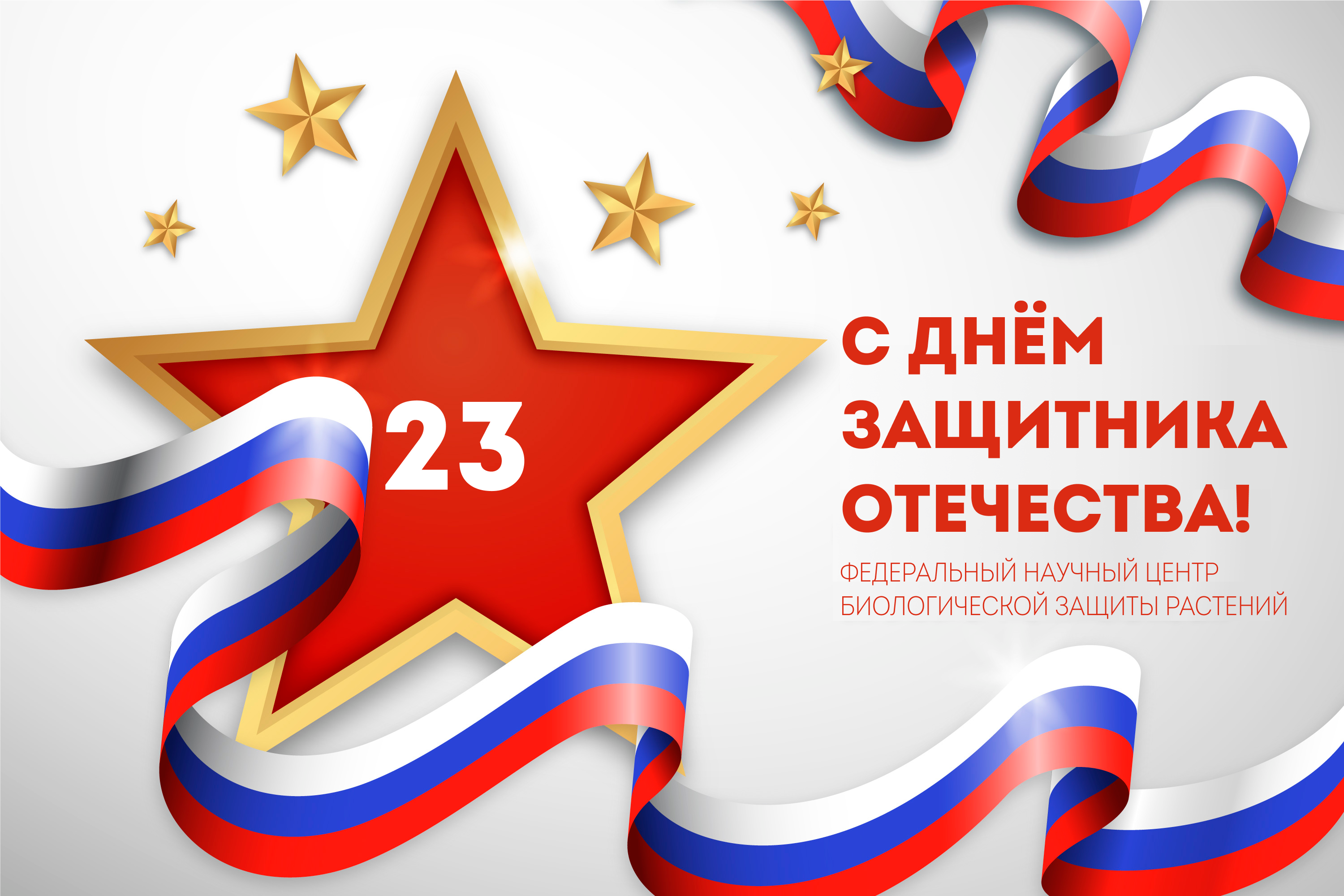 С Днём защитника Отечества!